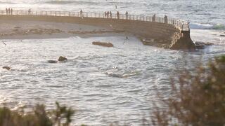 Children’s Pool during sunset in La Jolla San Diego California