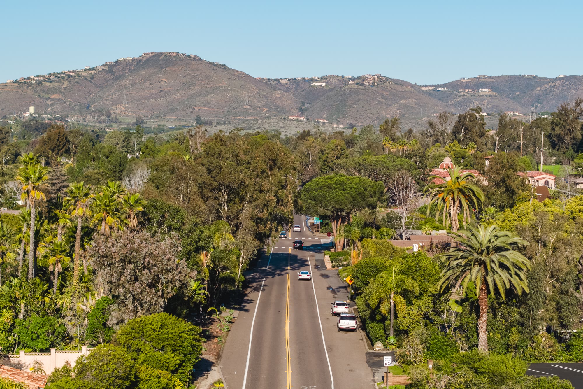 The tree lined streets of Rancho Santa Fe Covenant