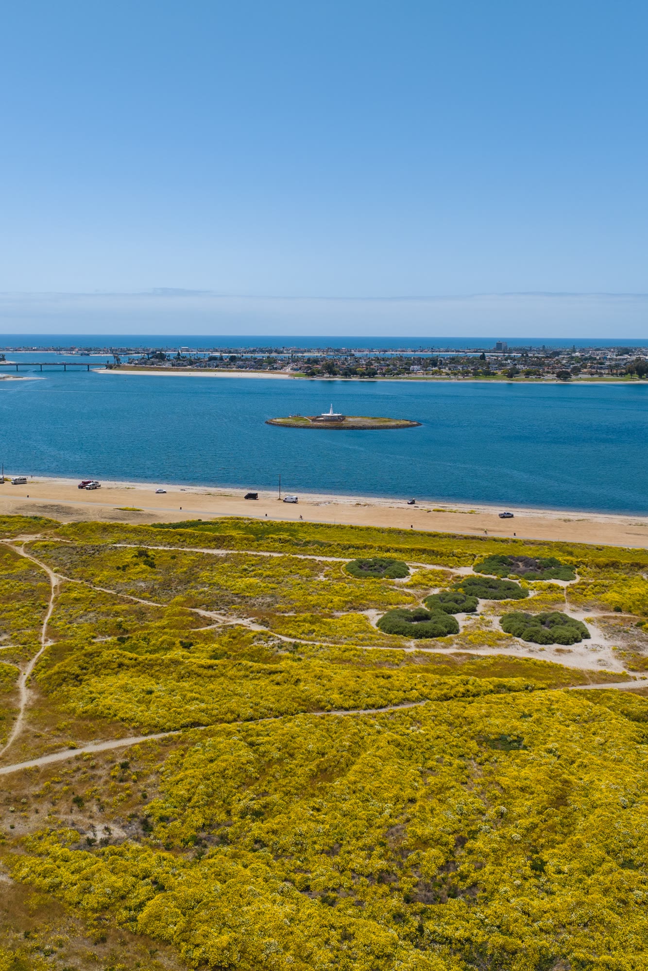 Flowers in bloom over Fiesta Island in Mission Bay San Diego
