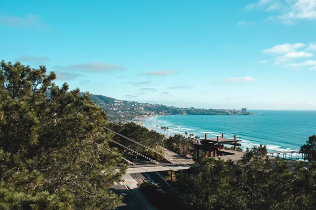 Elevated view of the cliffs, the ocean and homes at La Jolla Farms.