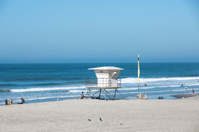 The beach, the surf and wildlife at Moonlight Beach, with people walking.