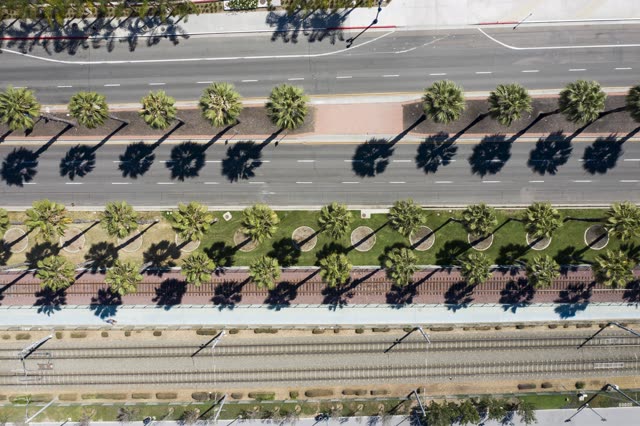 Aerial view of the downtown streets, palm trees and the city at San Diego Marina.