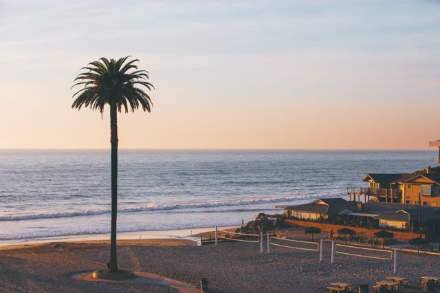 Elevated view of the beach, the surf and palm trees at Moonlight Beach.