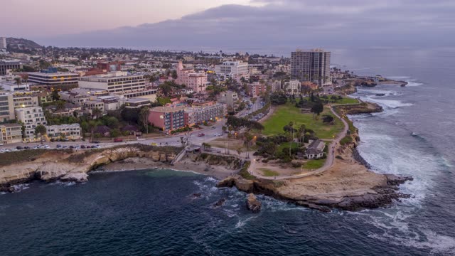 Aerial view of the cliffs, palm trees and the ocean at La Jolla Cove.