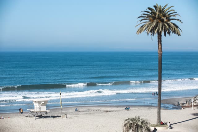 Elevated view of the beach, the surf and palm trees at Moonlight Beach, with people walking.