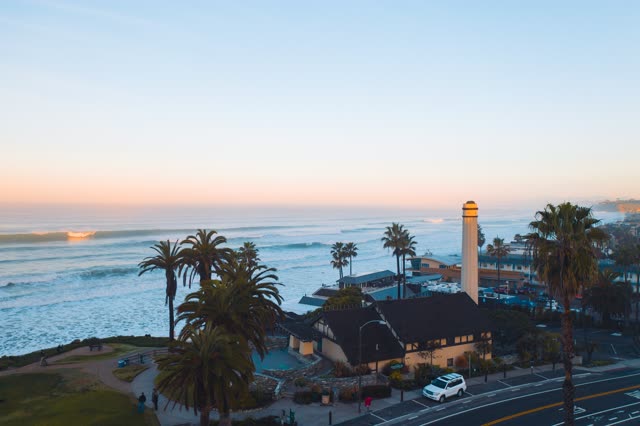 Low aerial view of the beach, the surf and palm trees in Del Mar.
