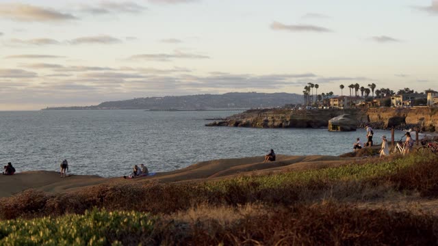 Elevated view of the cliffs, palm trees and the ocean at Sunset Cliffs, with people walking.