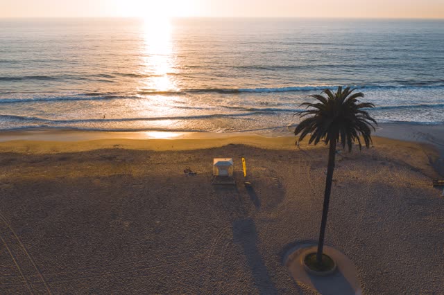 Aerial view of the beach, the surf and palm trees at Moonlight Beach.