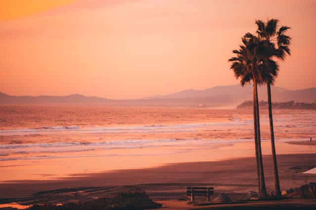 The beach, the surf and palm trees in Del Mar.