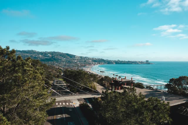 Elevated view of the cliffs, palm trees and the ocean at La Jolla Farms.
