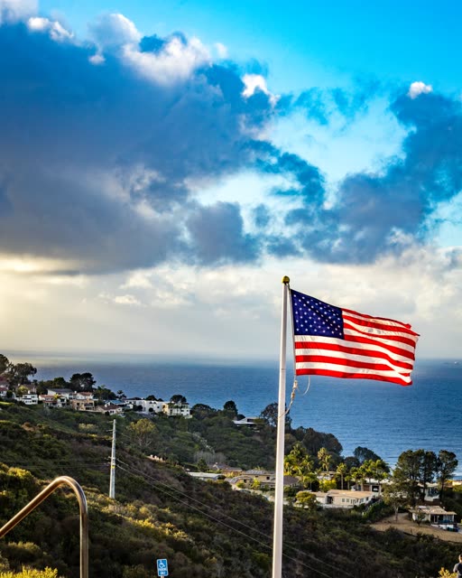 Elevated view of the cliffs, palm trees and the ocean at Mount Soledad.