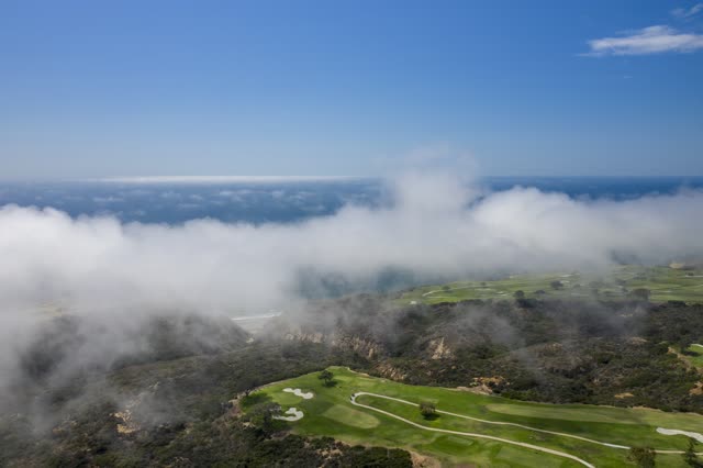 Aerial view of the cliffs, the ocean and open country at Torrey Pines.