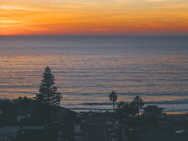 Elevated view of the beach, palm trees and the ocean at Moonlight Beach.
