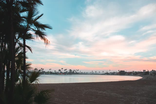 The beach, palm trees and the bay in Mission Bay.