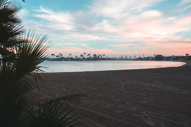 The beach, palm trees and the bay in Mission Bay.