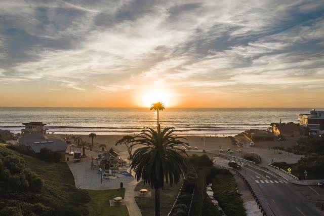 Low aerial view of the beach, the surf and palm trees at Moonlight Beach.