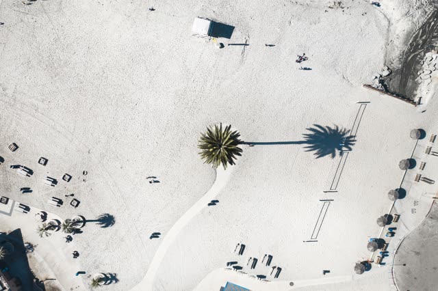 Aerial view of the beach, palm trees and open country at Moonlight Beach.