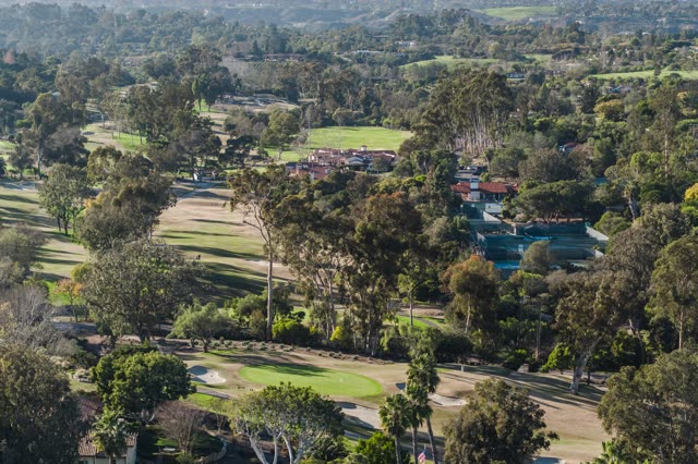 Aerial view of a residential street, palm trees and homes at Covenant.