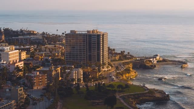 Aerial view of the cliffs, palm trees and the ocean at La Jolla Cove.