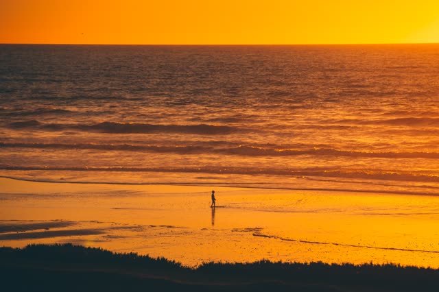 Elevated view of the beach, the surf and the ocean in Del Mar, with people walking.