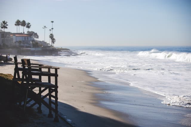 The beach, the surf and palm trees in La Jolla, with people walking.