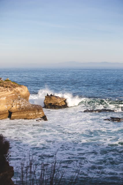 Elevated view of the cliffs, the surf and wildlife at La Jolla Cove.