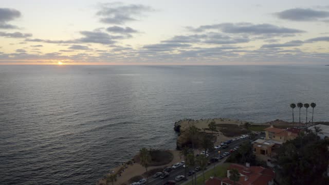 Aerial view of the cliffs, palm trees and the ocean at Sunset Cliffs.