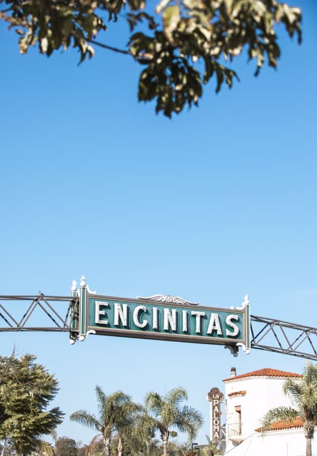 The downtown streets, palm trees and the buildings at Downtown Encinitas.