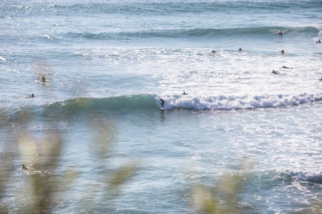 The beach, the surf and the ocean in Encinitas, with surfers out.