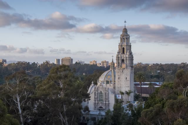 Low aerial view of a park, the skyline and palm trees in Balboa Park.