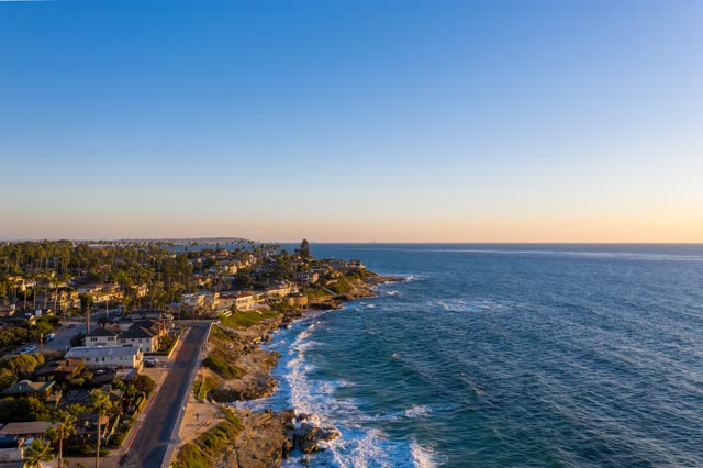 Aerial view of the cliffs, palm trees and the ocean at Windansea.