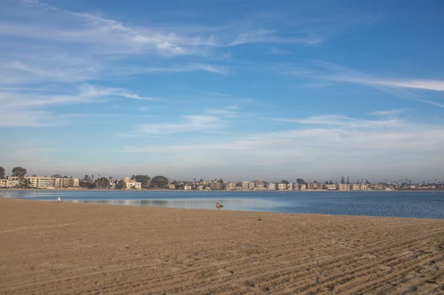 The beach, palm trees and the bay in Mission Bay.