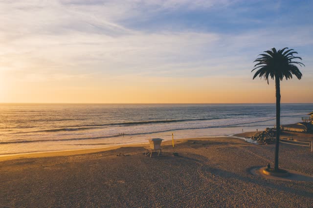 Low aerial view of the beach, the surf and palm trees at Moonlight Beach.