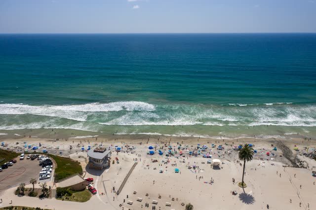 Aerial view of the beach, the surf and palm trees at Moonlight Beach, with a crowd gathered.