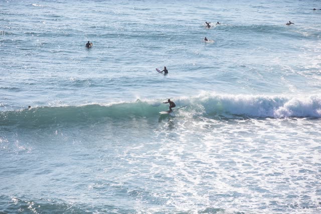 Low aerial view of the beach, the surf and the ocean in Encinitas, with surfers out.