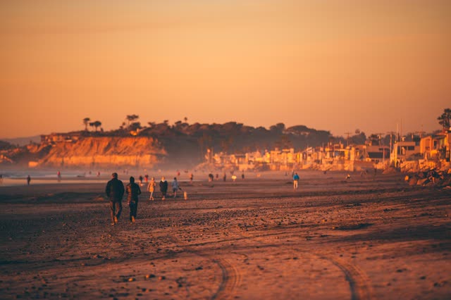 The beach, palm trees and the ocean in Del Mar, with people walking.
