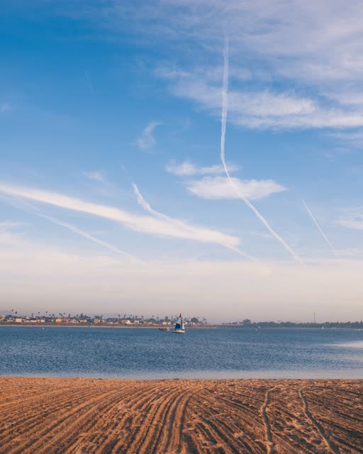 The beach, boats and palm trees in Mission Bay, with boats out.