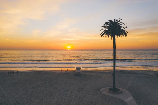 Low aerial view of the beach, the surf and palm trees at Moonlight Beach, with people walking.