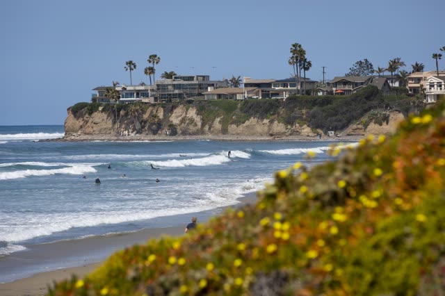 The beach, the surf and palm trees in Pacific Beach, with surfers out.