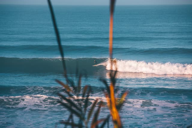 Elevated view of the beach, the surf and the ocean in Del Mar, with surfers out.