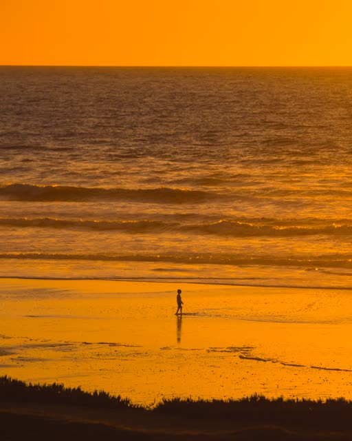 Elevated view of the beach, the surf and the ocean in Del Mar, with people walking.