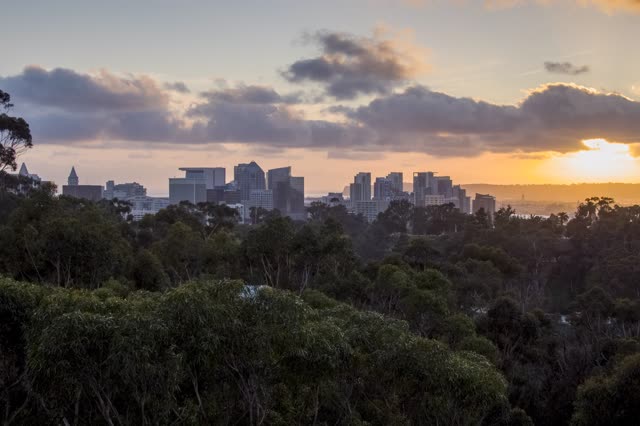 Elevated view of the downtown streets, the skyline and the buildings in Balboa Park.