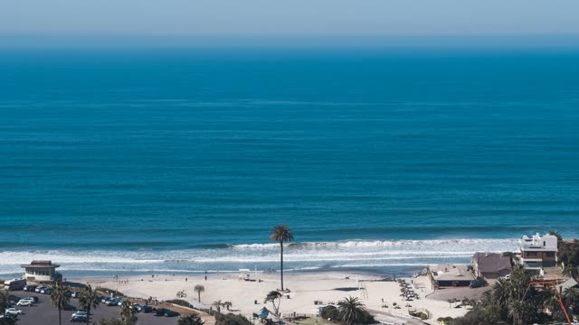Aerial view of the beach, the surf and palm trees at Moonlight Beach, with people walking.
