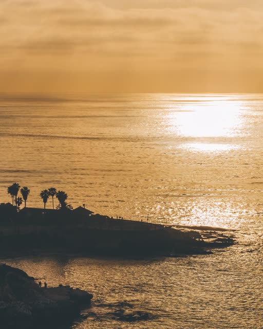 Aerial view of the cliffs, palm trees and the ocean at La Jolla Cove.