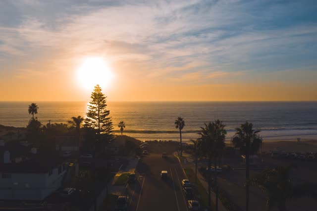 Low aerial view of the beach, the surf and palm trees at Moonlight Beach.