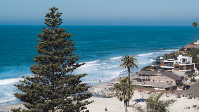 Aerial view of the beach, the surf and palm trees at Moonlight Beach, with swimmers in the water.
