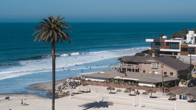 Elevated view of the beach, the surf and palm trees at Moonlight Beach, with surfers out.