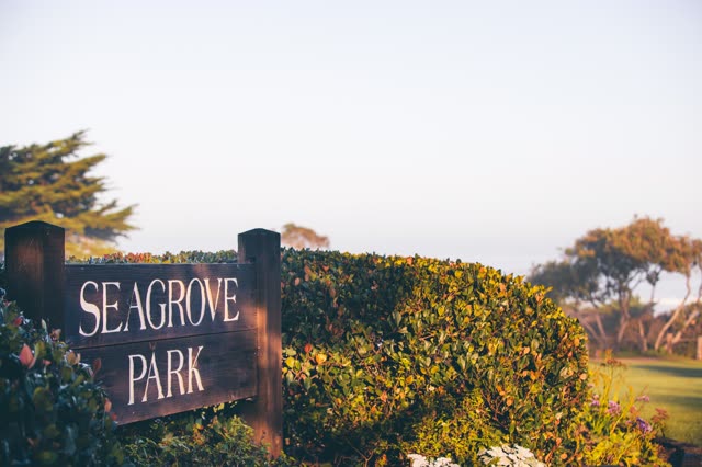 A park, palm trees and open country in Del Mar.