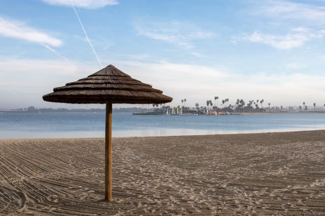 The beach, boats and palm trees in Mission Bay.