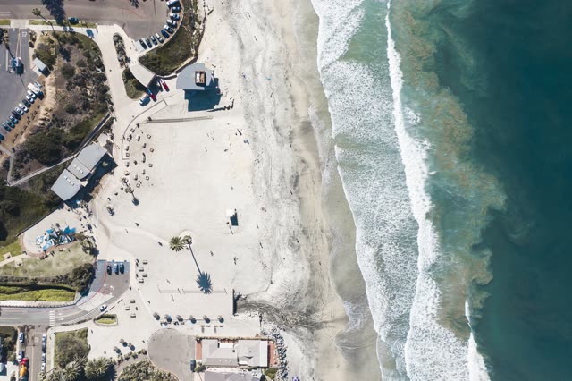 Aerial view of the beach, the surf and palm trees at Moonlight Beach, with people walking.